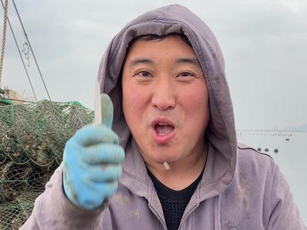 #生蚝 #生鲜年货好礼 生蚝是这样生长的,而且这个季节,又鲜又肥。