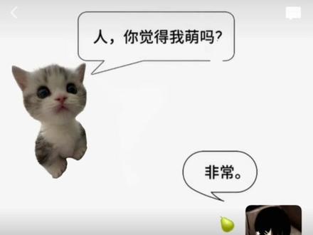 人你觉得我萌吗微信背景图制作教程来了#醒图 #醒图创作者 #微信背景图 #人你觉得我萌吗 #萌物 小狗微信背景图 骏良背景图 人你觉得我萌吗背景制作教程 人你觉得我萌吗背景图怎么做 黄黄萌系朋友圈背景 萌宠背景图手机壁纸 萌宠背景图高清版