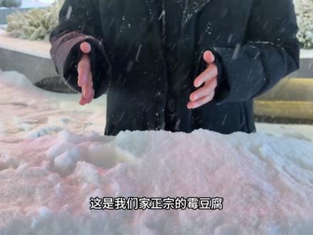 今个刚出锅的正宗河南雪豆腐,10块钱一板#霉豆腐 #不要捏#抽象 #搞笑 #段子