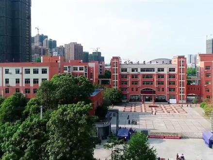 房子烧没了,房贷还得继续还?残酷但必须说清楚的真相 六个钱包换灰烬,三十年光阴赎空债!房贷的残酷真相,让你彻夜难眠!#房地产 #大湾区