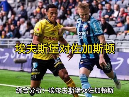 埃尔夫斯堡对佐加顿斯
