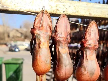 喜欢记得关注#雪蛤油 #林蛙油 #东北林蛙 @DOU+上热门