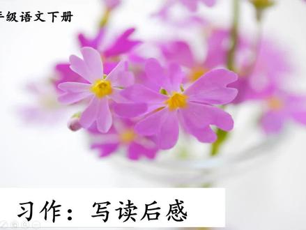 统编版五年级语文下第二单元作文:读后感