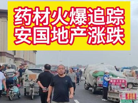 #安国地产药材 #安国中药材行情 #中药材交易