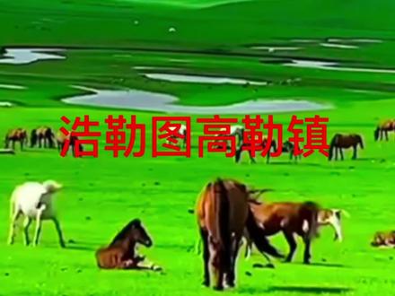 浩勒图高勒镇位于旗所在地巴拉嘎尔高勒镇南30公里。主要以畜牧业为主,以旅游业和工业经济为辅,辖区内有道伦达坝铜矿、巴拉嘎尔嘎查铁矿、达青铅锌矿和伊日盖图煤田等丰富的煤铁铜锌资源,为浩勒图高勒镇工业经济的发展奠定了一定的基础。同时,浩勒图高勒镇所在地有368年悠久历史的浩勒图庙、乌珠穆沁王盖敖包和游牧部落等历史文化旅游胜地,带动镇旅游经济的发展。