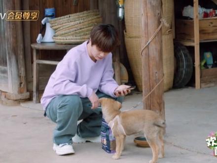 陆虎用狗语翻译器,翻译出来又不信#欢迎来到蘑菇屋 #陆虎