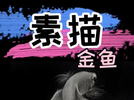 简单又好看的金鱼画法,同学们学会了吗?#素描 #素描动物 #金鱼