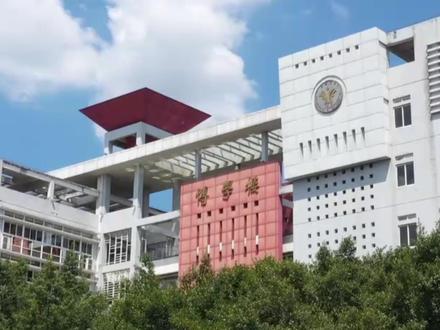 恭喜西南政法大学 #西南政法大学 #大学 #法学