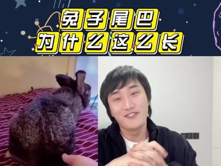 兔子的尾巴为什么这么长?最长的居然有17厘米,没事可别拉它。#兔子尾巴 #科普一下 #萌宠 #神奇动物在抖音 #抖出知识点 #萌知计划 @抖音青少年