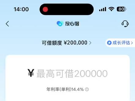 无人扶我青云志。我自贷款过新年。😤