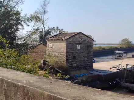 中华白海豚属于鲸目齿鲸亚目海豚科驼背豚属。在我国主要分布于福建宁德以南至北部湾的大陆近海域及海南西南沿海和台湾西部海域。在我国已知且经过系统性研究的中华白海豚种群数量,在三娘湾—大风江口约300头。中华白海豚以河口及沿海环境中体长10至25厘米的硬骨鱼类为主要食物,其平均寿命介于33至36岁,体色由刚出生的铅灰色,到青少年时期身体颜色逐渐变浅,性成熟后身体灰中带白,到身体颜色大部分为白色或粉色,中老年后身体颜色基本为粉色或白色。中华白海豚的核心栖息地普遍位于初级生产力高的河口咸淡水交汇区,目前在大江风出海口海域是常态性存在。
据悉,中华白海豚的生存威胁主要来自于其生存环境中的人为活动,如人类捕捞海洋生物以及观看海豚过程中有可能对之产生的误伤。故相关教授呼吁北海和钦州两市的渔民在生产捕捞中要注意不要对中华白海豚产生伤害,同时大家在观豚的活动中也要做到文明观豚,让大风江出海口成为它们栖息和繁衍的好家园。#海钓船钓 #渔民生活