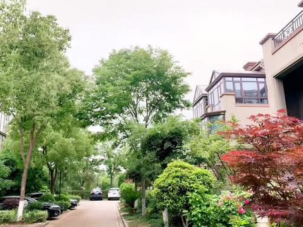 你讨厌地下室吗,不带地下室的别墅,你喜欢吗#小区随拍 #好房推荐 #别墅🏡 #现场实拍 #捡漏房 #带你看房