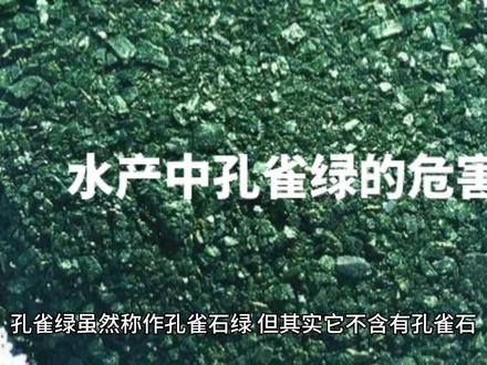 水产中孔雀绿的危害#防腐剂#孔雀绿