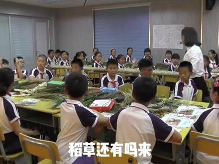 湘美版小学美术六年级上册《第8课 田间的精灵》优质课公开课#小学美术获奖公开课 #美术课 #美术教学