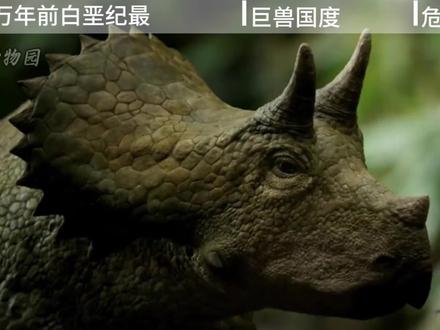 6600 万年前的巨兽王国! #动物解说 #动物科普 #抖音硬核版 #抖音精选#抖音细糠版