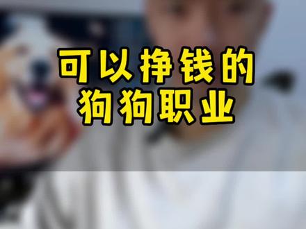 狗狗也可以为你挣钱养家,快来了解一下狗狗可以养家糊口的技能#狗狗 #狗狗模特 #养狗的用途