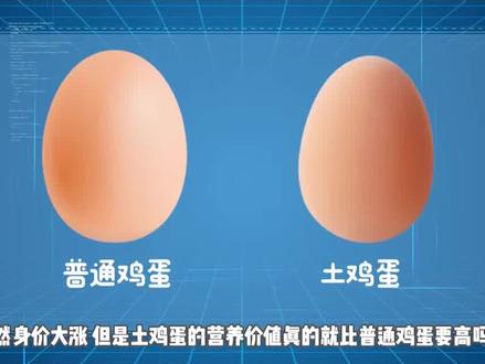 号称营养更高的土鸡蛋,是智商税吗?#鸡蛋 #智商税 #科普