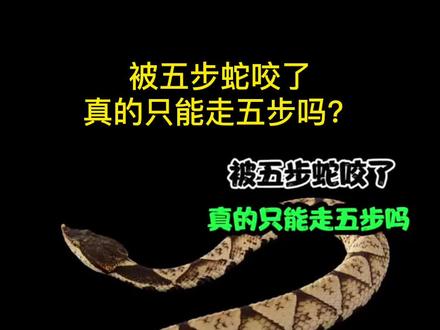 被五步蛇咬了,真的只能走五步吗?#人体冷知识 #每日趣闻