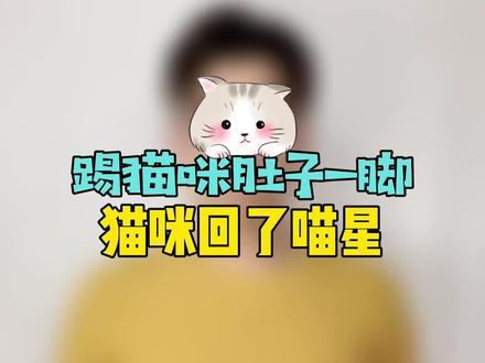 踢了猫咪肚子一脚,结果猫咪就回到了喵星@抖音小助手 #萌宠 #猫咪