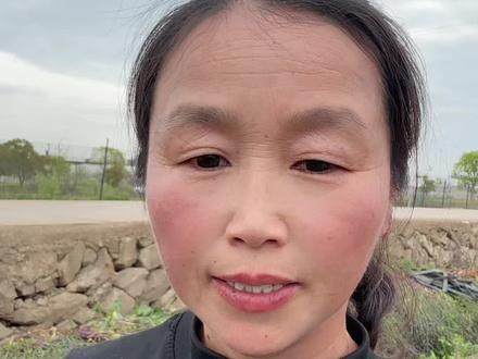#油菜 #纯天然绿色食品 这个菜的种子能榨油吗?榨油好不好吃?#农业种植