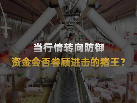 当行情转向防御,资金会否眷顾进击的猪王? 最近伴随大资金的波动,农业板块成为实打实的资金避风港,当科技主线还在高位震荡,聪明钱已经开始往确定性里钻了。而这场轮动的焦点之一,正是养猪业龙头牧原股份。就在这个节骨眼,"猪王"牧原股份抛出重磅炸弹——正式开启港股IPO,最高募资120亿港元。自此,牧原即将成为"A+H"双平台上市的全球养猪第一股。#财经 #热门公司 #牧原股份 #养猪业龙头 @DOU+小助手 @抖音创作小助手 @抖音小助手