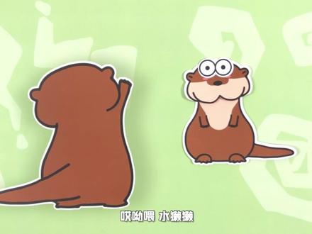 因网红霸屏而被忽视的可爱物种(2/2)#可爱 #水獭
