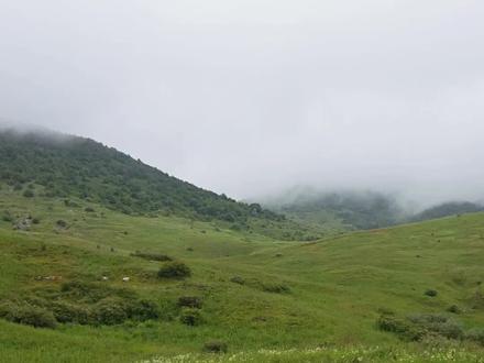 牛马归山 明知山有虎不去明知山,去#仁道村 和第一川(村)