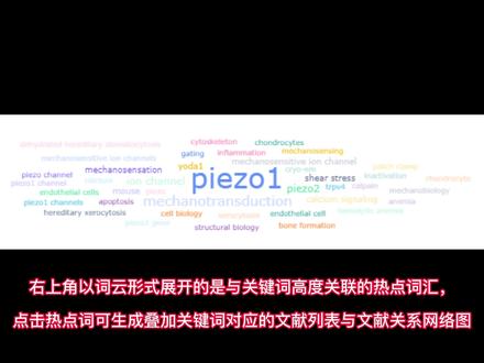 文献筛选神器,一键查看文献引用与被引用关系#文献检索 #赛特新思 #文献追踪 @DOU+小助手