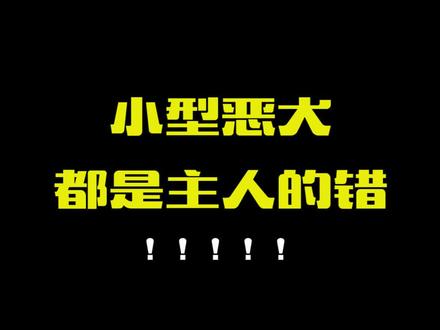 #吉娃娃 也可能是“恶犬” #狗狗