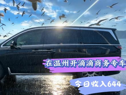 商务接待首选6座MPV,舒适感拉满💺 商务专车驰骋温州,单日入账644。谈季出车全是小单,表面光鲜的商务车,背后全是汗水!
#真实生活分享计划 #vlog十亿流量扶持计划 #网约车 #vlog日常 #商务车