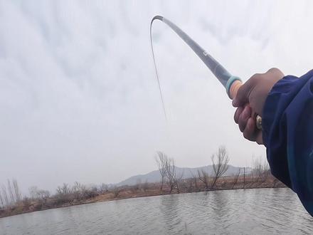 初春探钓小型水库,鲫鱼口不错偶尔有鲤鱼,收费20一天鱼获自由,位置已发粉丝群#黑旋风饵料