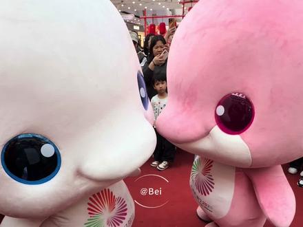 团团鸡蘑菇鸡❤️#大湾鸡 #广州杂技团大湾鸡 #鸡杂宝宝 #全运会吉祥物 #喜洋洋乐融融 @广州杂技团