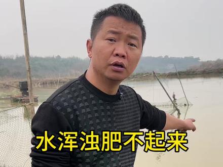 鱼塘水浑应该怎么处理?浑水肥水如何更简单 #鱼塘水浑 #浑水肥水
