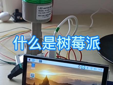 只有开源的生态,才能有持续的生命力 #树莓派 #AI开发 #人工智能应用