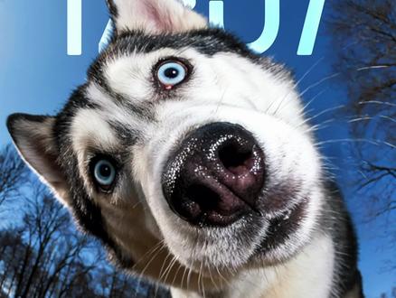 3d立体壁纸设置教程,ios26壁纸3d设置教程,3d立体壁纸怎么设置,3d立体壁纸哈士奇怎么设置#ios26壁纸3d怎么设置 #ios26壁纸3d效果 #ios26 #ios26裸眼3d壁纸 #3d立体壁纸设置教程 ios26壁纸,3d立体壁纸小米,3d立体墙纸,ios26哈士奇动态壁纸,ios26哈士奇二哈歪头壁纸,ios26宠物壁纸,哈士奇歪头壁纸ios,哈士奇壁纸下载,哈士奇壁纸,安卓哈士奇动态壁纸,ios26壁纸3d怎么设置,ios26壁纸3d,ios26壁纸3d效果,苹果3d立体壁纸,3d立体壁纸oppo,vivo3d立体壁纸哈士奇怎么设置,3d立体壁纸华为,壁纸3d立体,苹果3d立体壁纸,苹果3d壁纸立体怎么设置,ios26裸眼3d壁纸 神图壁纸小程序入口,神图壁纸,拿图君,神图壁纸口令