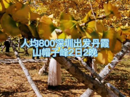 #丹霞山风景 #南雄帽子峰 #周末游 深圳出发丹霞山帽子峰2日2晚 登高+看最美银杏 。
旅行的意义大概就是累瘫的暴走,走中获得心灵的满足。