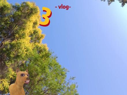 无聊的周末不如来一场colorwalk情侣大PK! 在没有出门旅行的日子里,总觉得在熟悉的城市不知道要做什么!和狗子临时开启了一场#colorwalk ,PK结果就等你们来评好了(狗头)哈哈哈#超会玩派对 #春日撒野指南#随机colorwalk挑战#青年创作者成长计划