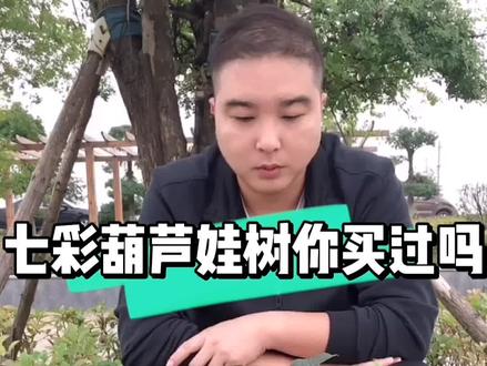 七彩葫芦娃大结局#果树 #果树苗 #绿植花卉 @DOU+上热门 @DOU+小助手