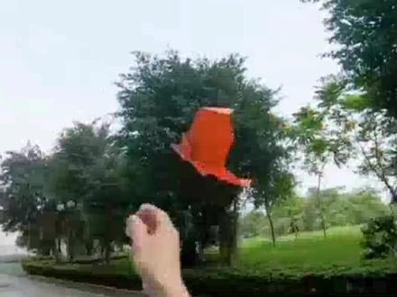 猎鹰号纸飞机,不仅能御风飞行,还可以自主回旋! #手工diy #折纸 #折纸飞机 #手工折纸 #纸飞机