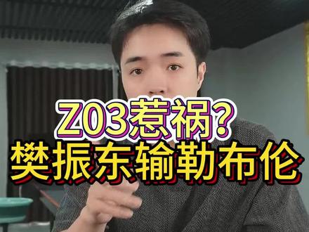 z03支撑行太强 导致失误率非常高 关键分关键球 就知道z03不太适合普通人#樊振东 #乒乓球拍搭配 #乒乓球器材