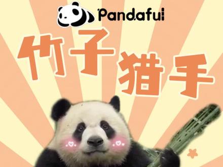 大小姐分享她的捕猎技巧 #大熊猫珍喜 #来这吸熊猫