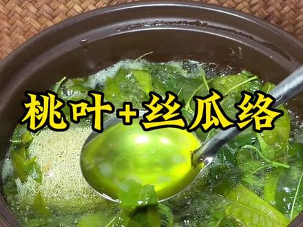 桃树叶丝瓜络#植物科普#涨知识
