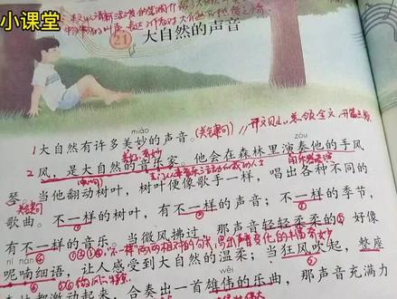 三年级语文上21课《大自然的声音》课文讲解#小学语文#课文讲解#小学语文知识点 #关注我持续更新小学知识