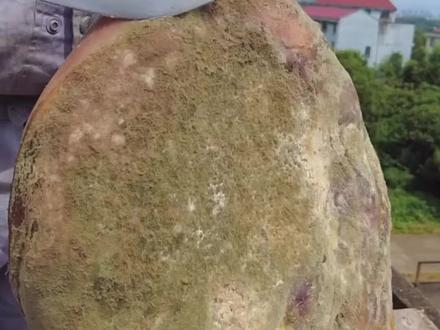 浙江金华火腿,中国美食的国粹,走进金华火腿 工厂,恍若走入酒池肉林#家乡特产 #产地直供 #金华火腿 #火腿