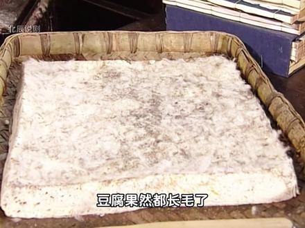 万万没想到!王致和臭豆腐秘方,竟是神厨所创 #电视剧解说 #历史 #好剧推荐 #神厨