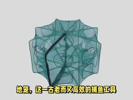 地笼为什么能进不能出? #水产养殖 #罗非鱼 #鸭嘴鱼