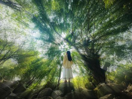 一年一度的云南德宏傣族泼水节开始咯!#过泼水节还得来德宏 #有一个美丽的地方德宏 #发现宝藏德宏