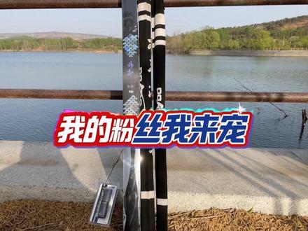 空钩悟道锦粼极轻大物测评#鱼竿测评