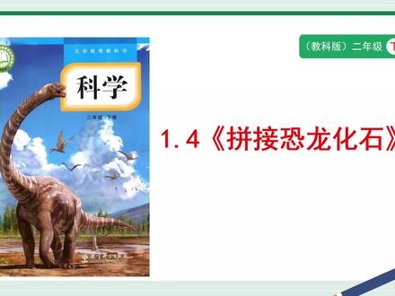 教科版科学二年级下册1.4《拼接恐龙化石》PPT,获取方法看主页或置顶#教科版科学二年级下册 #拼接恐龙化石