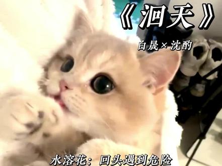 *被专业折服的哲学系高材生白晟,理工文史,生化环材,咱男德班优秀学员一个不占,编制这条路任重道远#洄天#白晟#沈酌#淮上